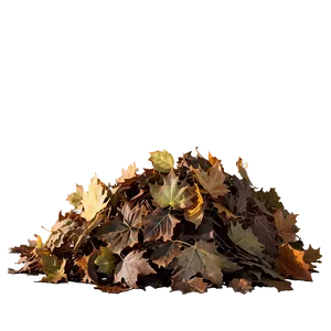 Pile Of Leaves In Sunlight Png Psm70 PNG image