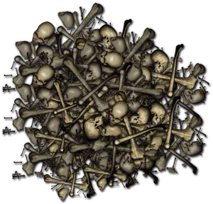 Pileof Human Skeleton Bones PNG image