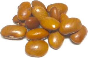 Pileof Raw Peanuts PNG