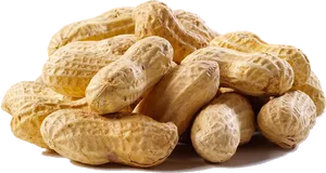 Pileof Raw Peanutsin Shells PNG image