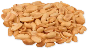 Pileof Salted Peanuts Isolated PNG