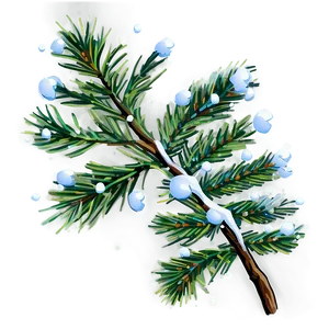 Pine Branch With Snowflakes PNG 98 PNG