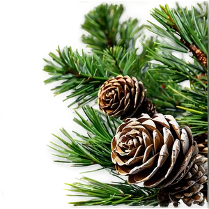 Pine Cone Background PNG 7