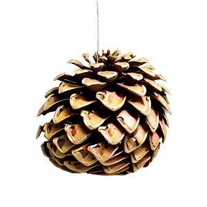 Pine Cone Bird Feeder PNG Ftc PNG