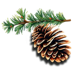 Pine Cone Border PNG 06202024