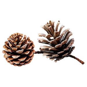 Pine Cone Border PNG Icx4 PNG