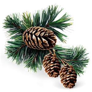 Pine Cone Bundle PNG Twd46 PNG