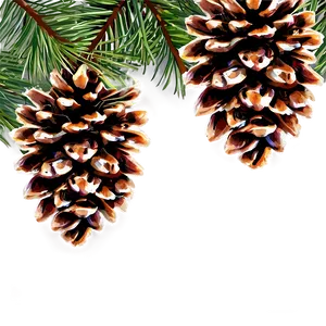 Pine Cone Cluster PNG Tyh13 PNG