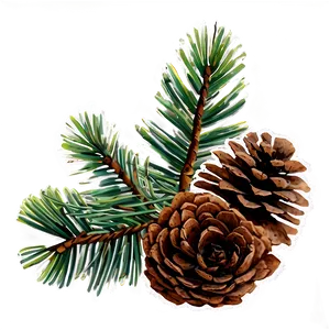 Pine Cone Collection PNG 30