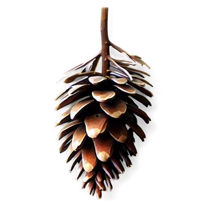 Pine Cone Collection PNG 48
