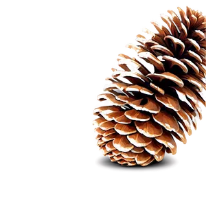 Pine Cone Decoration Png 47 PNG image