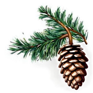 Pine Cone Design PNG 51
