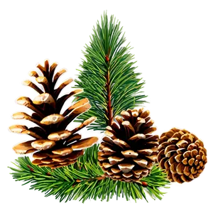Pine Cone Frame PNG 06202024