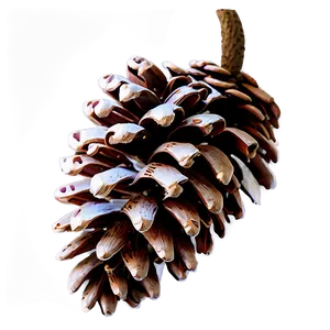 Pine Cone Garland PNG 06202024