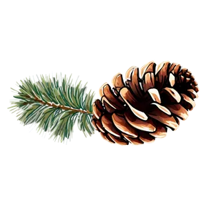 Pine Cone Graphic PNG 06202024