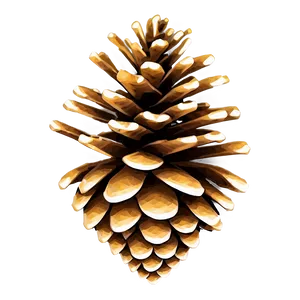 Pine Cone Graphic PNG Sdg88 PNG