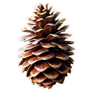 Pine Cone Icon PNG Ogm3 PNG