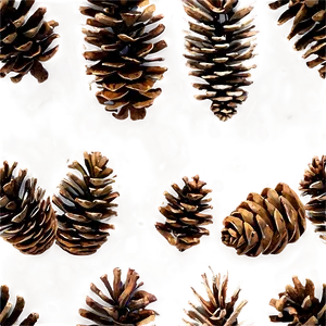 Pine Cone In Forest PNG 06202024