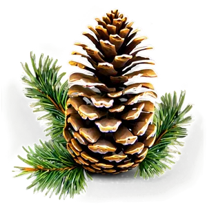 Pine Cone In Forest PNG 06202024