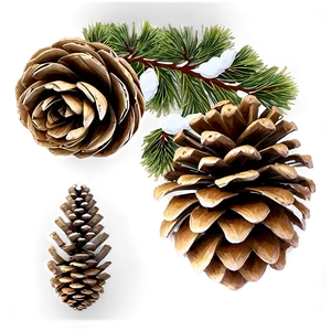 Pine Cone Pattern Background PNG Dvc88 PNG