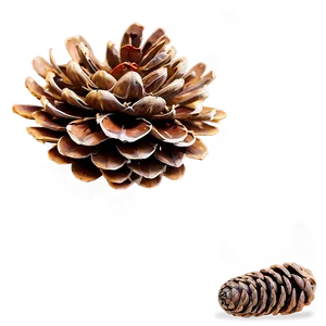 Pine Cone Pattern Background PNG Eht69 PNG