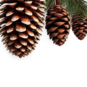 Pine Cone Pattern Background PNG Ksp24 PNG