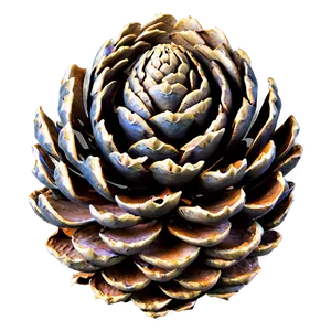 Pine Cone Pattern PNG Fnd16 PNG