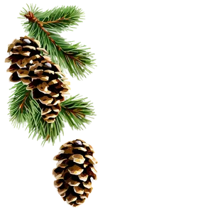 Pine Cone Png 06202024 PNG image