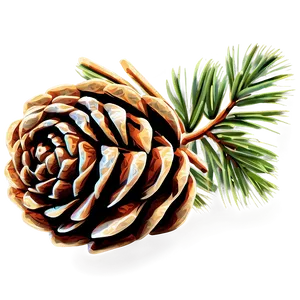 Pine Cone Sketch PNG Ste43 PNG