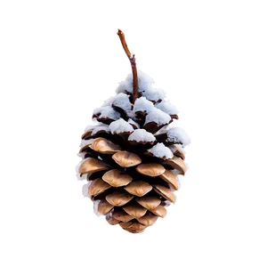 Pine Cone With Snow PNG Qcv14 PNG