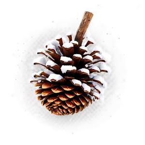Pine Cone With Snow PNG Tko