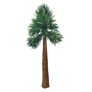 Pine D PNG image