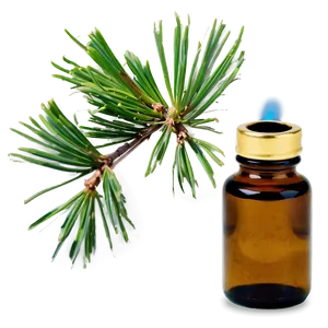 Pine Essential Oil PNG 87