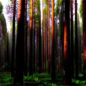 Pine Forest Panorama Png Iar PNG image