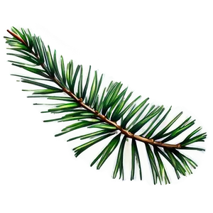 Pine Leaves Png 05042024 PNG image