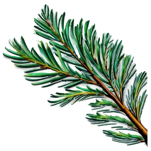 Pine Leaves PNG 24