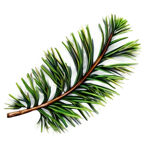 Pine Leaves PNG Jyd4
