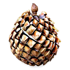 Pine Nut Cone PNG Fji55 PNG