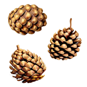 Pine Nut Cone PNG Uln61 PNG