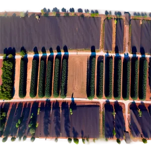 Pine Tree Farm Aerial PNG 28 PNG