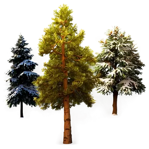 Pine Tree In Four Seasons PNG 06132024 PNG