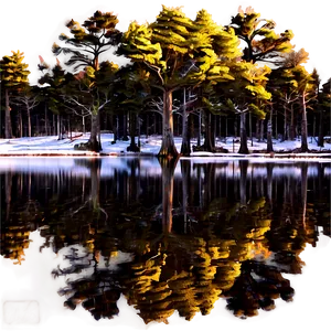 Pine Tree Reflection Water PNG 06132024 PNG