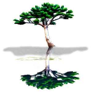 Pine Tree Reflection Water PNG Rns9 PNG