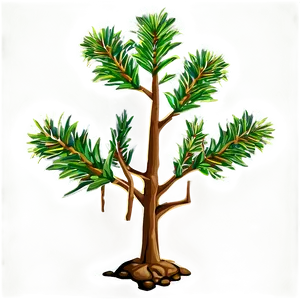 Pine Tree Sapling PNG 06132024 PNG