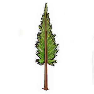 Pine Tree Sapling PNG 06132024 PNG