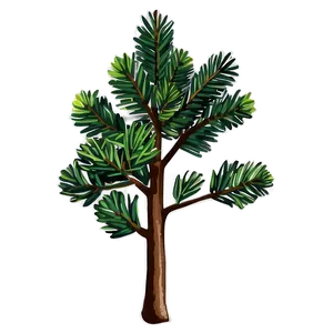 Pine Tree Seedling PNG 33 PNG