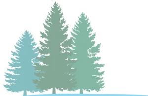 Pine Tree Silhouette Graphic PNG image