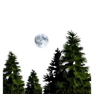 Pine Trees And Moon PNG 05252024