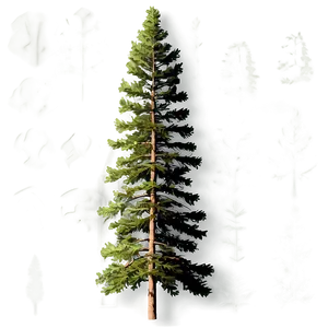 Pine Trees And River PNG Kgb40