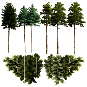 Pine Trees And River PNG Tyt77 PNG